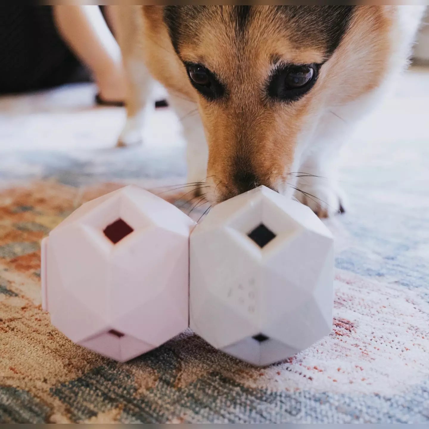 The Odin Toy