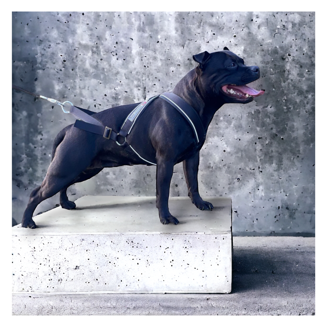 Hukens Multisele Kort stolpe (svart)