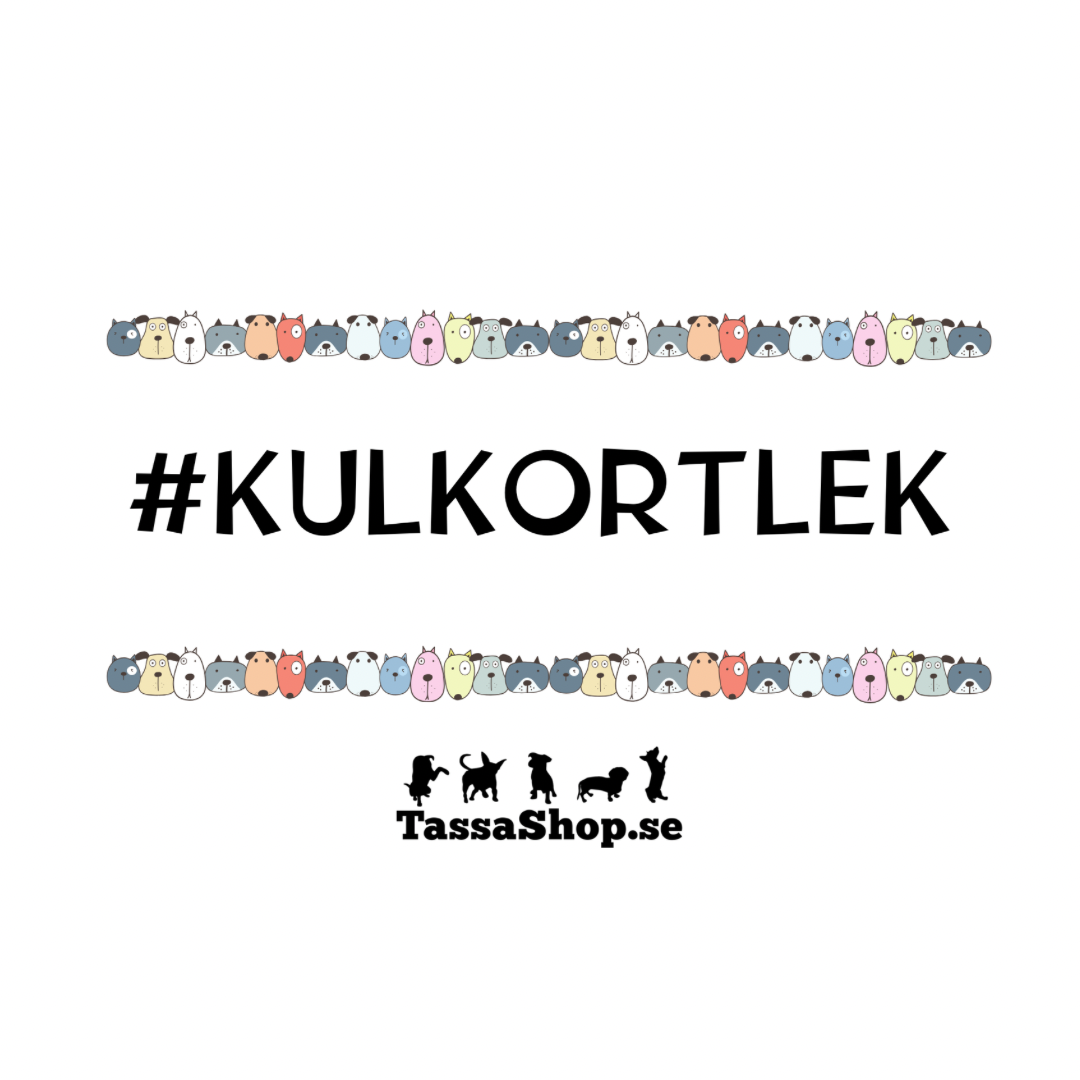 Kul Kortlek