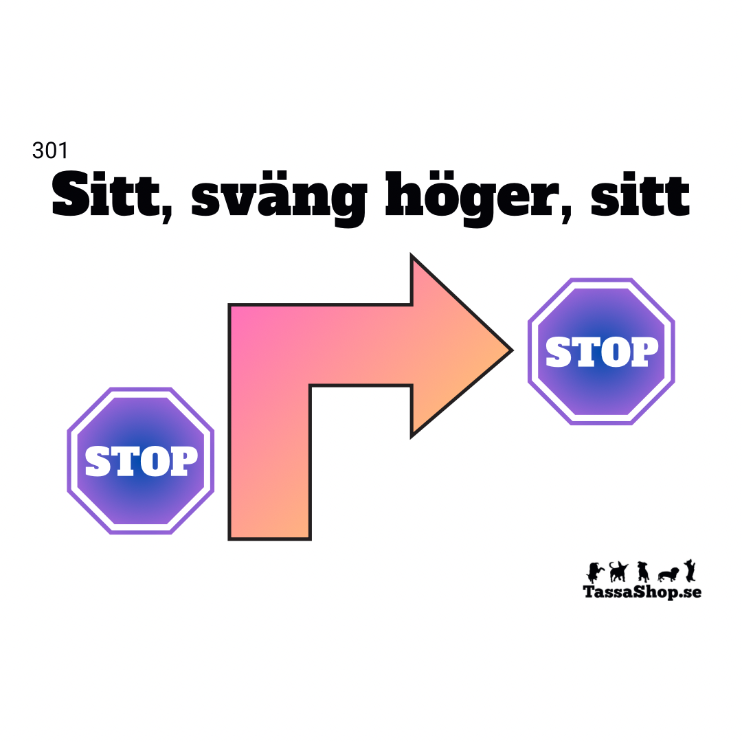 Avancerad klass (skyltar A4)