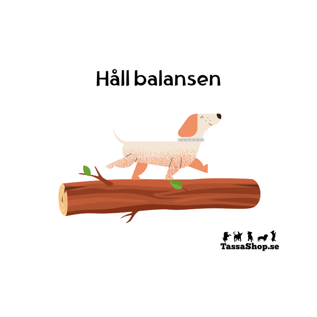 Kul Kortlek