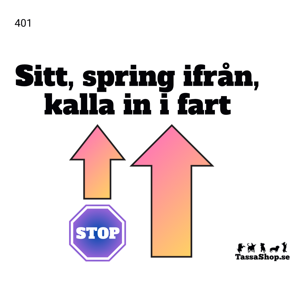 Mästarklass (skyltar A4)