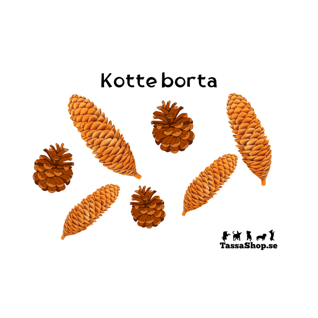 Kul Kortlek