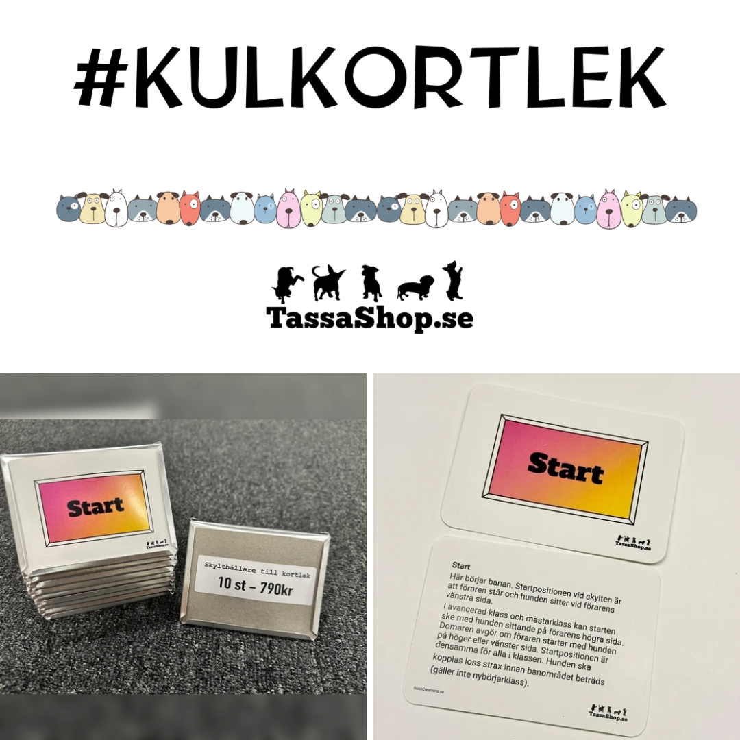 Kortlekspaket med Mini-hållare