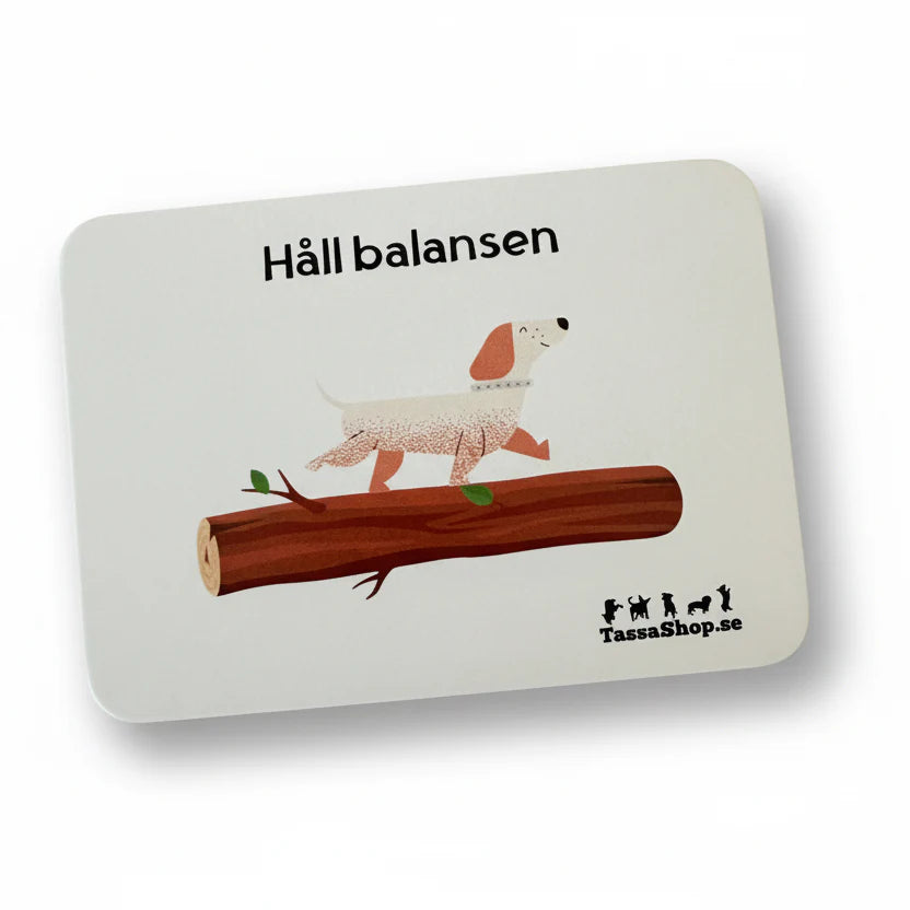 Skylthållare Mini med kortlekar