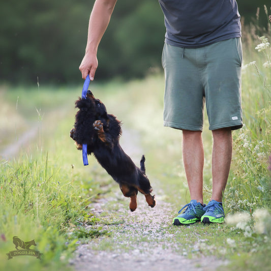 Kampis med äkta fårskinn